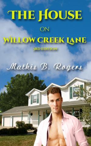 Cover of The House on Willow Creek Lane