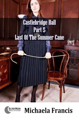 Cover of the book Last Of The Summer Cane (Castlebridge Hall Part 5) by Velvet Gray