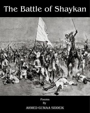 Book cover of The Battle Of Shaykan