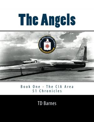 Cover of the book The Angels by TD Barnes