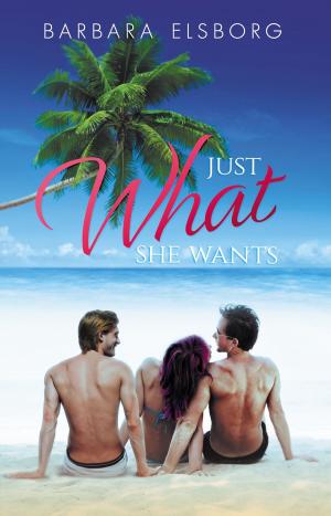 Cover of the book Just What She Wants by Barbara Elsborg