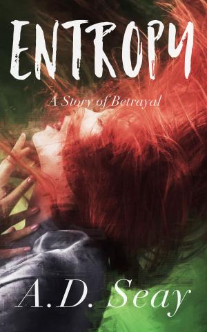Cover of the book Entropy: A Story of Betrayal by Billy Wells