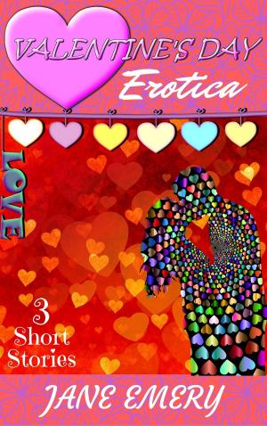 Cover of Valentine's Day Erotica: 3 Short Stories
