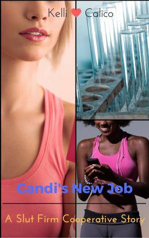 Cover of the book Slut Firm Cooperative: Candi's New Job by Susan Clarks