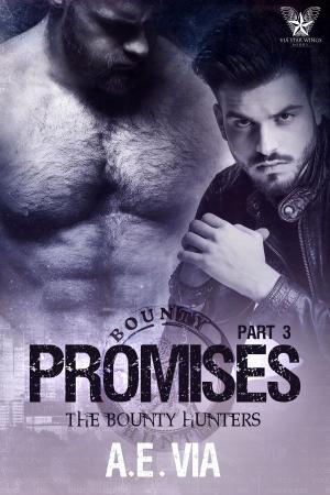 Cover of the book Promises Part 3 by A.E. Via