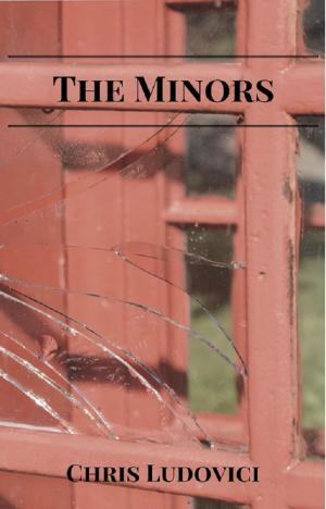 Cover of the book The Minors by Karen  Kilpatrick
