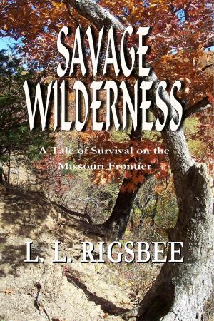 Cover of Savage Wilderness, A Colonial Adventure