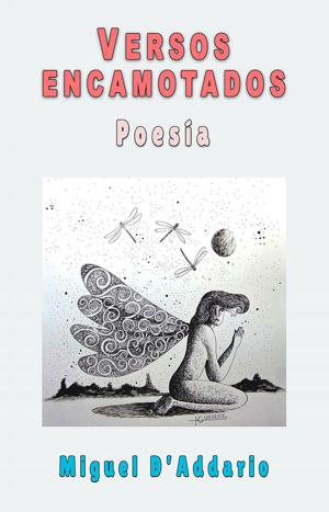 Cover of Versos Encamotados