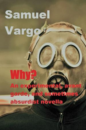 Book cover of WHY? An Experimental, Avant-Garde, And Sometimes Absurdist Novella