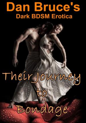 Book cover of Their Journey to Bondage