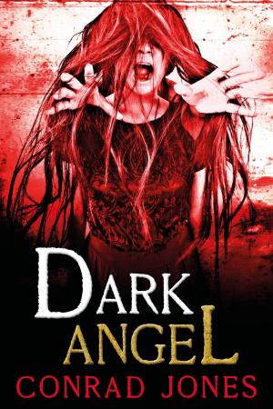 Cover of the book Dark Angel by Domenic Stansberry