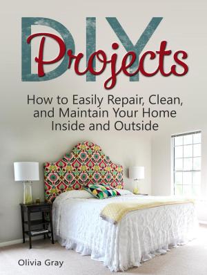 Book cover of DIY Projects: How to Easily Repair, Clean, and Maintain Your Home Inside and Outside