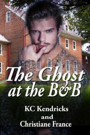 bigCover of the book The Ghost at the B&B by 