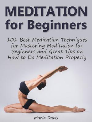 Book cover of Meditation for Beginners: 101 Best Meditation Techniques for Mastering Meditation for Beginners and Great Tips on How to Do Meditation Properly