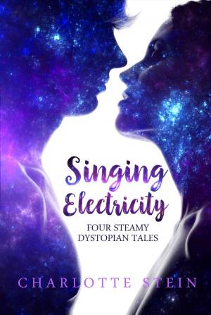 Book cover of Singing Electricity