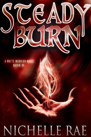 Cover of the book Steady Burn by Kate Coe