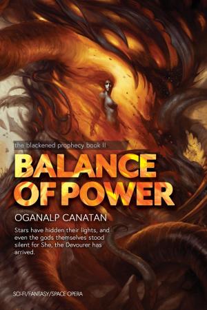 Cover of the book Balance of Power by Ralph Ewig