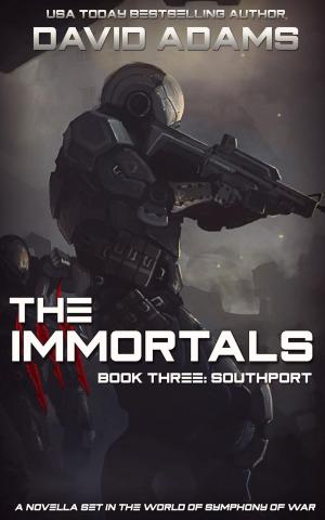 bigCover of the book The Immortals: Southport by 