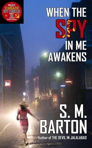 Cover of the book When the Spy in Me Awakens by Ristrict Publishing & Co