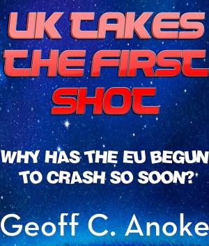 Cover of the book UK Takes The First Shot:Why Has The EU Crashed So Soon? by Michael J. Hurley