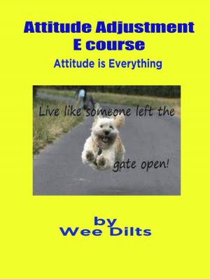 Cover of the book Attitude Adjustment E course by Wee Dilts