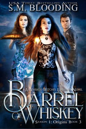 Cover of the book A Barrel of Whiskey by Derek Shupert