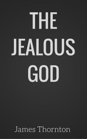 bigCover of the book The Jealous God by 