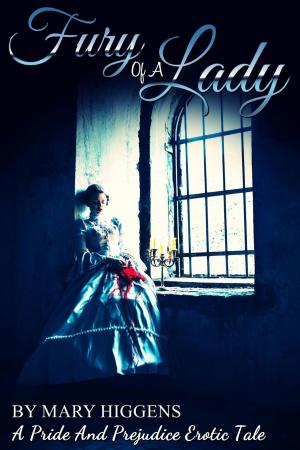 Book cover of Fury of a Lady: A Pride And Prejudice Erotic Tale