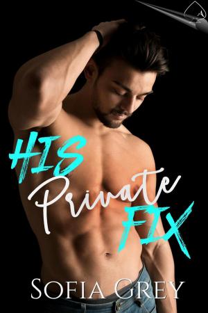 Cover of the book His Private Fix by Emme X