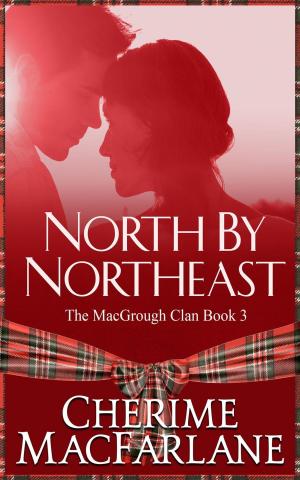 Cover of the book North by Northeast by Maxine Murphy