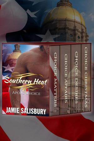 Cover of the book Southern Heat Box Set by Jamie Salisbury