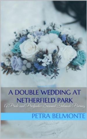 Book cover of A Double Wedding at Netherfield Park