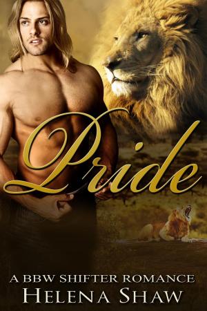 Cover of the book Pride by Ann Vremont