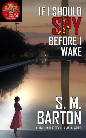 Cover of the book If I Should Spy Before I Wake by Anastacia Moore