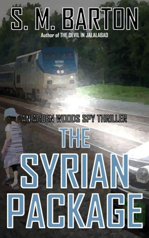 Cover of the book The Syrian Package by Norm Applegate