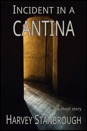 Book cover of Incident in a Cantina