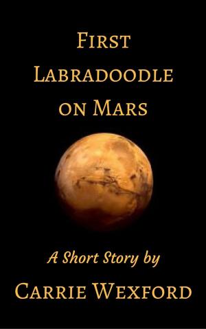 Book cover of First Labradoodle on Mars