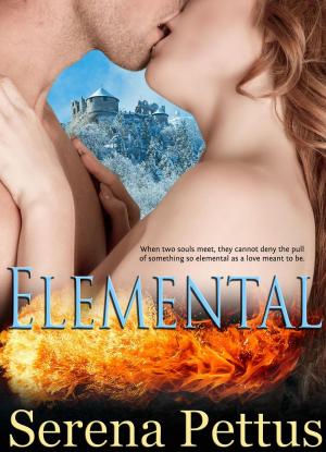 Cover of the book Elemental by J.G. Follansbee