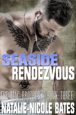 Cover of the book Seaside Rendevous by Jennifer Conner