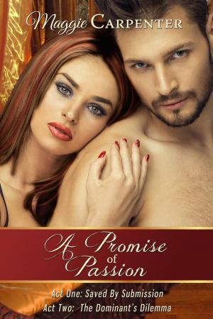 Book cover of A Promise of Passion: Box Set