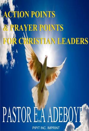 Cover of the book Action Points & Prayer Points For Christian Leaders by Richard Britner