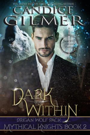 Cover of the book Dark Within by Candice Gilmer