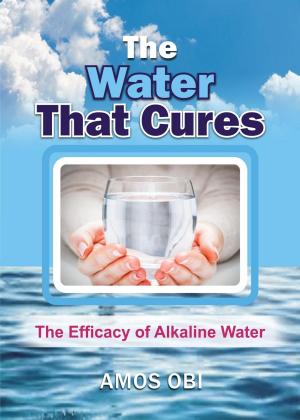 Cover of the book The Water That Cures by Vicki Joy