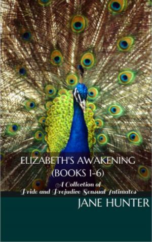 Cover of the book Elizabeth's Awakening: A Collection of Pride and Prejudice Sensual Intimates (Books 1-6) by Peter Hartey