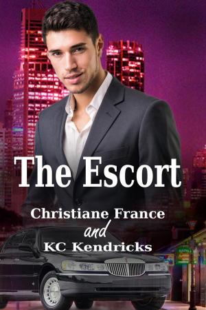 Book cover of The Escort