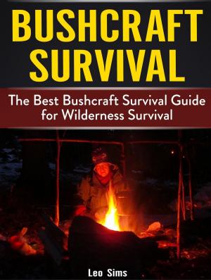 Cover of the book Bushcraft Survival: The Best Bushcraft Survival Guide for Wilderness Survival by Edward Thompson