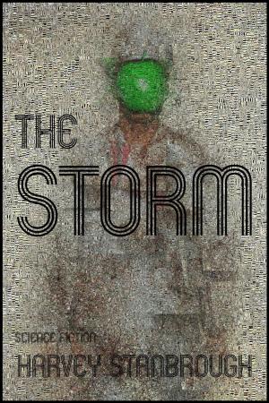 Cover of the book The Storm by Harvey Stanbrough