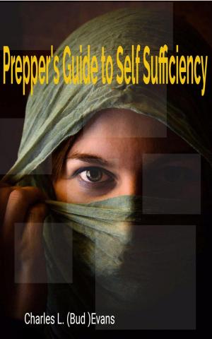 Cover of the book Prepper's Guide To Self Sufficiency by Penny S. Vincent