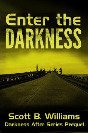 Book cover of Enter the Darkness: A Darkness After Series Prequel