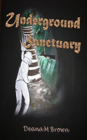 Cover of the book Underground Sanctuary by Ileandra Young